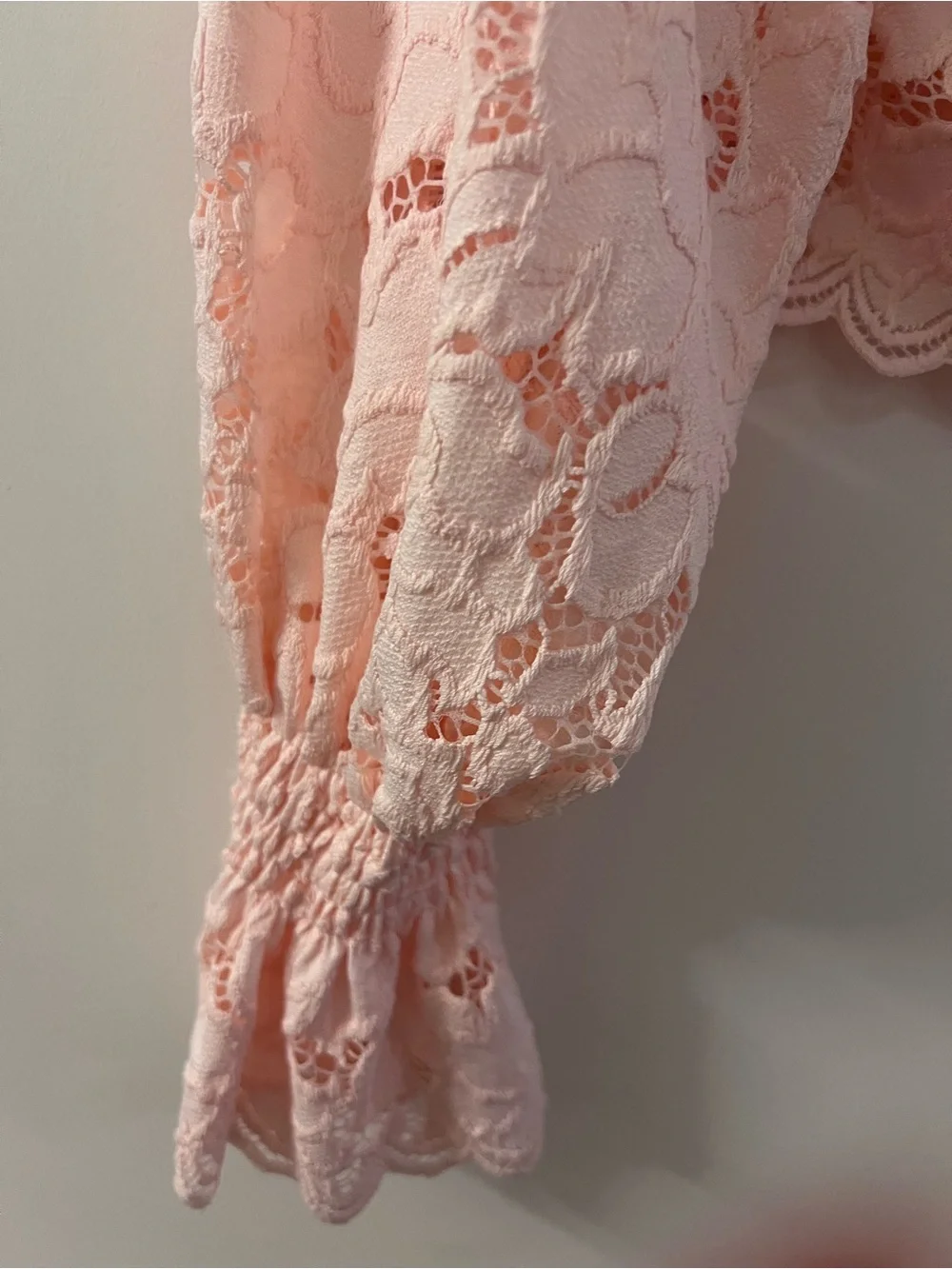 NWOT Free People Olivia Lace Balloon Sleeve Blouse Top in Pink